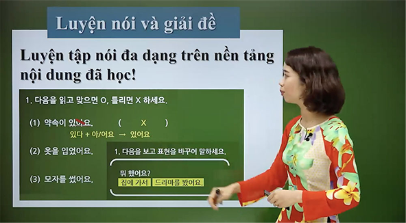 Vietnamese e-learning